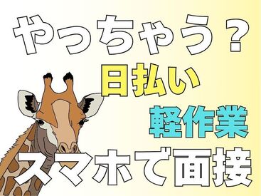 株式会社エスケイコンサルタント　柏支店/sk707 年齢不問！日払いOK★
未経験でもカンタンなお仕事！