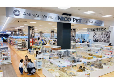 動物好きなら1度は憧れた"ペットショップでのお仕事"が叶います◎わからない時は先輩へバトンタッチでOK！未経験も大歓迎です★