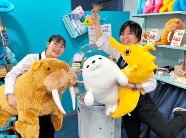 伊勢夫婦岩めおと横丁/伊勢夫婦岩ふれあい水族館シーパラダイス 伊勢シーパラダイス・伊勢夫婦岩めおと横丁では、
ゼロ距離水族館複合施設で一緒に働く仲間を大募集!
