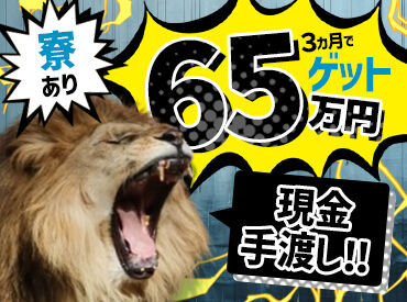 株式会社ニシムラ　佐賀支店（004） 勤務10日目までは日給1万円！
「今すぐ面接したい」そんな急な相談も歓迎☆
合否は面接当日に即決定♪スピード感が自慢です！