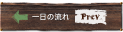 流れ