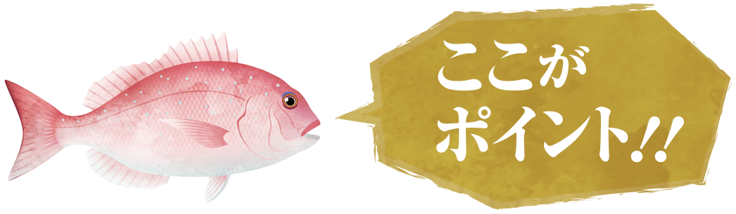 ここがポイント